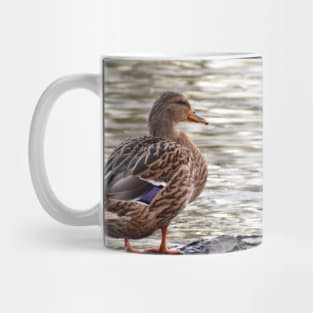 Mother Duck Mug